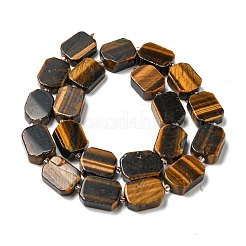 Natürlichen Tigerauge Perlen Stränge&nbsp;G-G072-B03-02