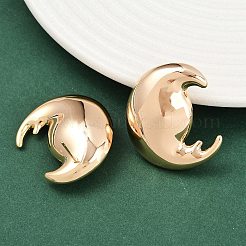 Aretes de latón&nbsp;EJEW-H168-13G