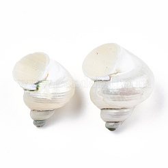 Spirale Shell naturale perline&nbsp;SSHEL-N034-126