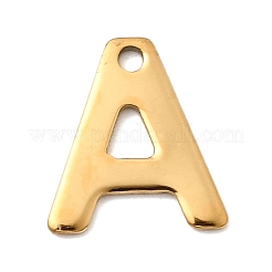 Breloques en acier inoxydable 304&nbsp;STAS-B093-12G