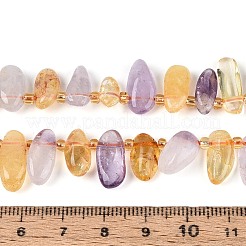 Naturperlen Stränge ametrine&nbsp;G-Z091-A41