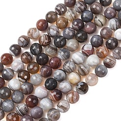 Botswana agata naturale perline fili&nbsp;G-G453-B01-8mm