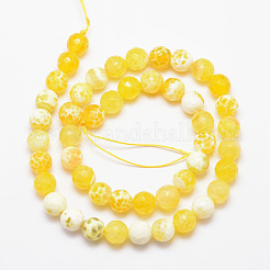 Brins de perles d'agate craquelée de feu naturel&nbsp;X-G-K166-07F-8mm-07