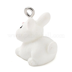 Pendentifs en résine opaque&nbsp;RESI-Z014-01I
