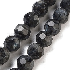 Fili di perline di larvikite naturale&nbsp;G-C150-B06-02