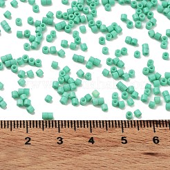 Perles de rocaille en verre&nbsp;SEED-S042-05B-60