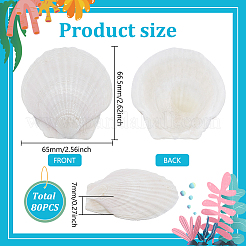 80 Stück natürliche Muschelornamente&nbsp;DIY-WA0001-03