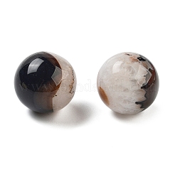 Perle di sfera di agata naturale&nbsp;LS-G-G129-01