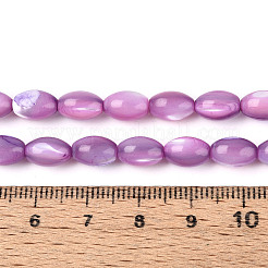 Natürliche Trochusmuschelperlenstränge&nbsp;X-SHEL-K006-19-01D
