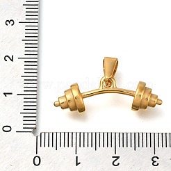 Pendentifs en acier inoxydable 304 avec placage ionique (IP)&nbsp;STAS-H216-70A-G