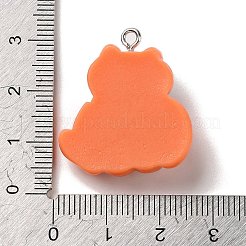 Undurchsichtige Harzanhänger&nbsp;RESI-K020-04B-02