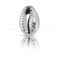 100 Stück galvanisierte natürliche Kauri-Muschelperlen&nbsp;BSHE-LT0001-05B