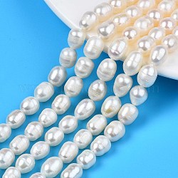 Brins de perles de culture d'eau douce naturelles, riz, couleur de coquillage, 8.5~13x7~8mm, Trou: 0.8mm, Environ 16~19 pcs/chapelet, 7.05 pouce ~ 7.40 pouces (17.9 cm ~ 18.8 cm)