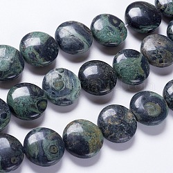 Fili naturali di perle di diaspro di kambaba, rotondo e piatto, 20x7~8mm, Foro: 1 mm, circa 20pcs/filo, 15.7 pollice