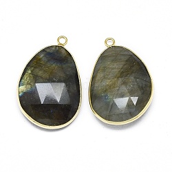 Natural Labradorite Pendants, with Brass Findings, Faceted, Golden, 32x21x7mm, Hole: 2mm