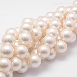 Chapelets de perles en coquille, Grade a, ronde, floral blanc, 16mm, Trou: 1mm, Environ 26 pcs/chapelet, 16 pouce