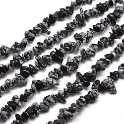 Schneeflocken-Obsidian-Chip Bead Stränge, 5~8x5~8 mm, Bohrung: 1 mm, etwa 31.5 Zoll