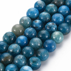 Natürliche Apatit Perlen Stränge, Runde, Klasse A, 8 mm, Bohrung: 0.8 mm, ca. 43 Stk. / Strang, 15.35 Zoll (39 cm)