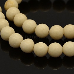 Natural Fossil Round Beads Strands, 6mm, Hole: 1mm, about 61pcs/strand, 15.7inch