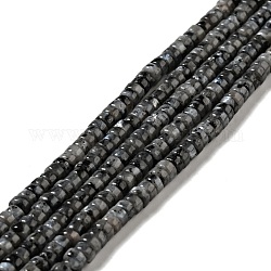 Natural Larvikite Beads Strands, Flat Round, 4.4~4.6x2.2~2.4mm, Hole: 0.8mm, about 159pcs/strand, 14.84''(37.7~38.1cm)