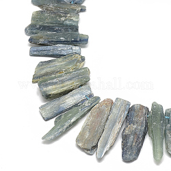 Fili di perline naturali di cianite / cianite / distene, perline forate, rettangolo, 19~67x8~11x4~9mm, Foro: 1 mm, circa 38~48pcs/filo, 15.7 pollice