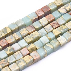 Chapelets de perles en jaspe aqua terra naturel, cube, 8x8x8mm, Trou: 0.8mm, Environ 48 pcs/chapelet, 15.3 pouce (39 cm)