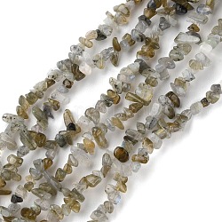 Natur Labradorit Perlen Stränge, Chip, 1.5~4.5x3~13x2.5~8 mm, Bohrung: 0.6 mm, 30.94~31.97 Zoll (78.6~81.2 cm)