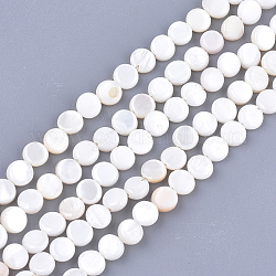 Freshwater Shell Beads Strands, Flat Round, Seashell Color, 6x2~3mm, Hole: 0.5mm, about 64~68pcs/strand, 14.5 inch