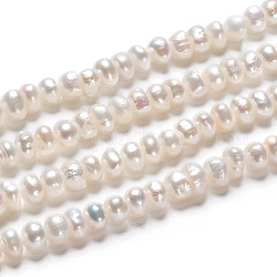 Hebras de perlas de agua dulce cultivadas naturales, rerondana plana, blanco antiguo, 4.8~5.5x3.5~4.5mm, agujero: 0.5 mm, aproximamente 49 pcs / cadena, 7.01 pulgada (17.8 cm)