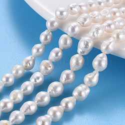 Chapelets de perles en Keshi naturel, perle de culture d'eau douce, larme, couleur de coquillage, 5~9x5~7mm, Trou: 0.6mm, Environ 48~54 pcs/chapelet, 14.96~15.35 pouce (38~39 cm)