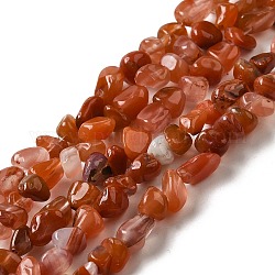 I fili di agata rossa del sud dell'agata naturale, pepite, pietra burrattata, 3.5~9x4~6.5x4~6mm, Foro: 0.8 mm, 14.96'' (38 cm)
