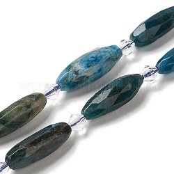 Chapelets de perles en apatite naturelle, avec des perles de rocaille, facette, ovale, 20.5~26x8.5~12mm, Trou: 1mm, Environ 13~14 pcs/chapelet, 15.35~15.55'' (39~39.5 cm)