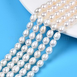 Fili di perle di perle d'acqua dolce coltivate naturali, riso, colore conchiglia, 7~9x5.5~6.5mm, Foro: 0.7 mm, circa 45~47pcs/filo, 13.78 pollice ~ 13.98 pollici (35 cm ~ 35.5 cm)