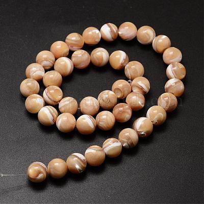 Wholesale Natural Sea Shell Beads Strands 