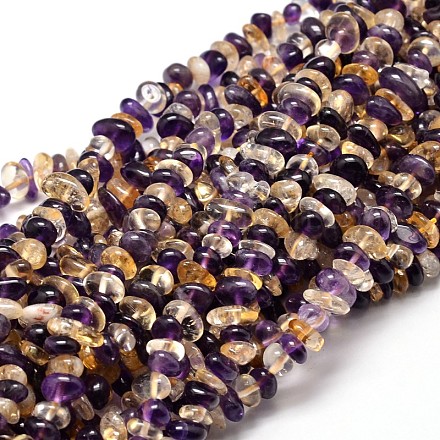Natural Ametrine Chip Beads Strands X-G-E271-122-1