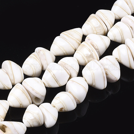 Chapelets de perles de coquille en spirale SHEL-T011-05-1