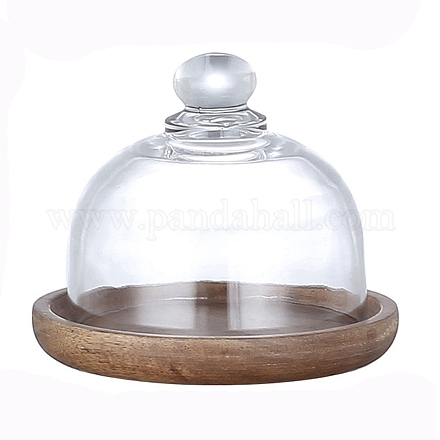Cloche a cupola in vetro PW-WG67980-01-1