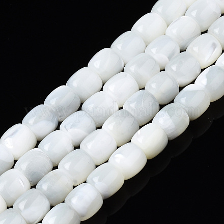 Fili di perle di conchiglia trochid naturale / trochus SSHEL-N034-121-B01-1