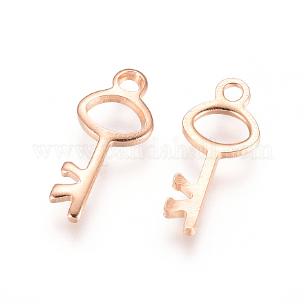 304 Stainless Steel Charms STAS-E484-21RG-1