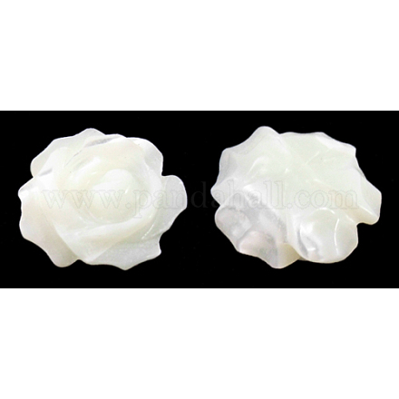 Cuentas de espalda plana con flor de rosa de concha blanca natural medio perforadas X-SH160-1