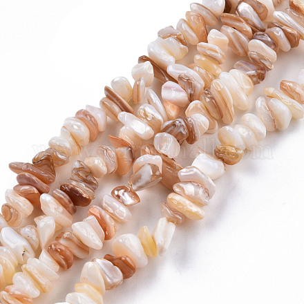 Eau douce naturelle de coquillage perles brins SHEL-N026-210-1