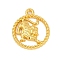 Twelve Constellations Alloy Pendants, Leo, 22.5x19x2.5mm, Hole: 1.8mm