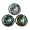 Natural African Turquoise(Jasper) Pendants, Donut/Pi Disc Charms, 30~31x5.5~6.5mm, Hole: 6mm