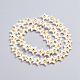 Chapelets de perles de coquillage naturel SSHEL-I024-01E-2