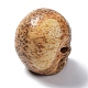 天然ピクチャージャスパービーズ  ハロウィンの頭蓋骨  11~11.5x8.5~9x11~11.5mm  穴：0.9~1mm G-C038-01F-3
