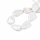 Chapelets de perles en coquillage naturel SSHEL-Q296-43-4