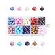 10 couleurs de perles de verre peintes DGLA-JP0001-04-1