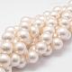 Cuentas perlas de concha de perla BSHE-L026-03-16mm-1
