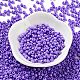 Baking Paint Glass Seed Beads SEED-H002-I-A505-2