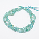 Natural Apatite Beads Strands G-F521-44-2